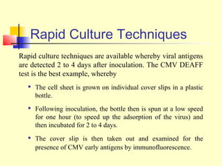 Rapid Culture Techniques
Rapid culture techniques are available whereby viral antigens
are detected 2 to 4 days after inoculation. The CMV DEAFF
test is the best example, whereby
      The cell sheet is grown on individual cover slips in a plastic
       bottle.
      Following inoculation, the bottle then is spun at a low speed
       for one hour (to speed up the adsorption of the virus) and
       then incubated for 2 to 4 days.
      The cover slip is then taken out and examined for the
       presence of CMV early antigens by immunofluorescence.
 