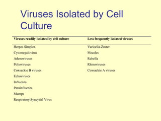 Viruses Isolated by Cell
    Culture
Viruses readily isolated by cell culture   Less frequently isolated viruses

Herpes Simplex                             Varicella-Zoster
Cytomegalovirus                            Measles
Adenoviruses                               Rubella
Polioviruses                               Rhinoviruses
Coxsackie B viruses                        Coxsackie A viruses
Echoviruses
Influenza
Parainfluenza
Mumps
Respiratory Syncytial Virus
 