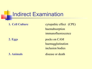 Indirect Examination
1. Cell Culture   cytopathic effect (CPE)
                  haemabsorption
                  immunofluorescence
2. Eggs           pocks on CAM
                  haemagglutination
                  inclusion bodies
3. Animals        disease or death
 