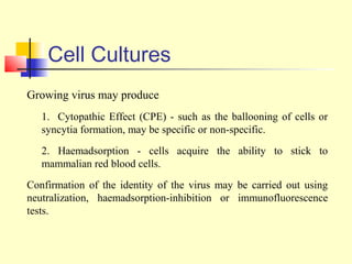 Cell Cultures
Growing virus may produce
   1. Cytopathic Effect (CPE) - such as the ballooning of cells or
   syncytia formation, may be specific or non-specific.
   2. Haemadsorption - cells acquire the ability to stick to
   mammalian red blood cells.
Confirmation of the identity of the virus may be carried out using
neutralization, haemadsorption-inhibition or immunofluorescence
tests.
 