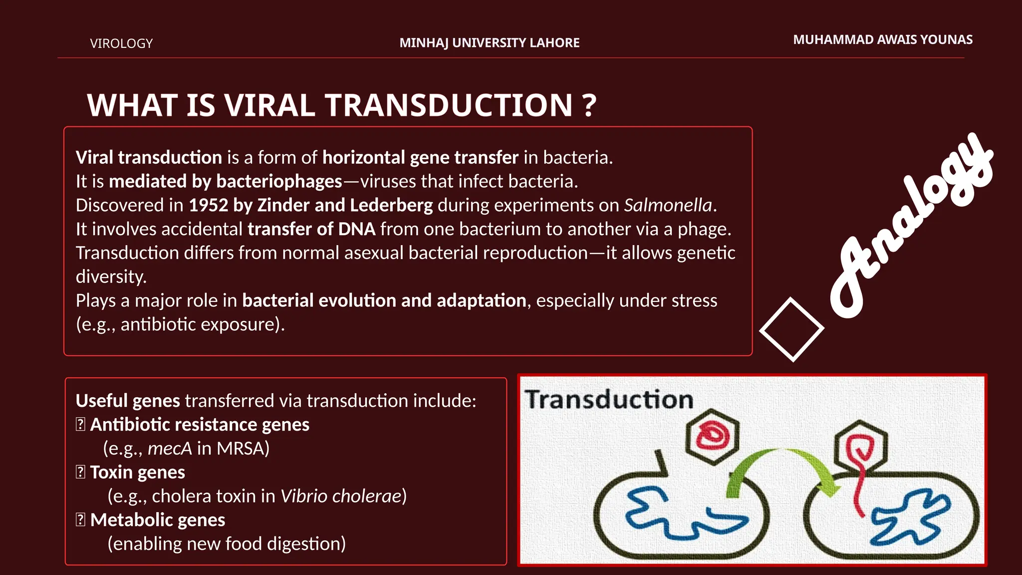 Viral Transduction: Types, Mechanism, and Its Role in Gene Transfer | PPTX