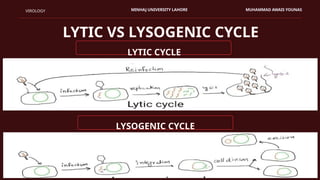 Viral Transduction: Types, Mechanism, and Its Role in Gene Transfer | PPTX