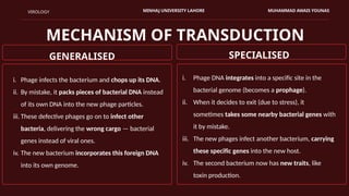 Viral Transduction: Types, Mechanism, and Its Role in Gene Transfer | PPTX