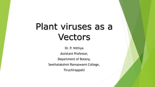 Plant viruses as a
Vectors
Dr. P. Nithiya
Assistant Professor,
Department of Botany,
Seethalakshmi Ramaswami College,
Tiruchirappalli
 