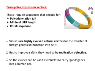  Viruses are highly evolved natural vectors for the transfer of
foreign genetic information into cells.
 But to improve safety, they need to be replication defective.
 So the viruses can be used as vehicles to carry 'good' genes
into a human cell.
Eukaryotes expression vectors:
These require sequences that encode for:
 Polyadenylation tail
 Minimal UTR length
 Kozak sequence
 