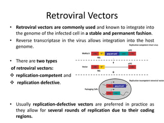 Retroviral Vectors
• Retroviral vectors are commonly used and known to integrate into
the genome of the infected cell in a stable and permanent fashion.
• Reverse transcriptase in the virus allows integration into the host
genome.
• There are two types
of retroviral vectors:
 replication-competent and
 replication defective.
• Usually replication-defective vectors are preferred in practice as
they allow for several rounds of replication due to their coding
regions.
 
