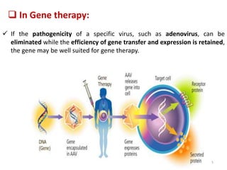 25
 In Gene therapy:
 If the pathogenicity of a specific virus, such as adenovirus, can be
eliminated while the efficiency of gene transfer and expression is retained,
the gene may be well suited for gene therapy.
 
