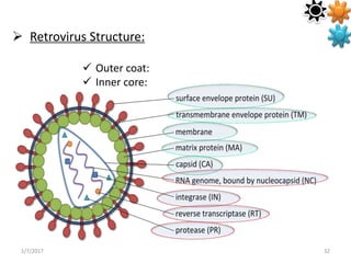 1/7/2017 32
 Retrovirus Structure:
 Outer coat:
 Inner core:
 