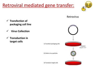 33
Retroviral mediated gene transfer:
 Transfection of
packaging cell line
 Virus Collection
 Transduction in
target cells
 