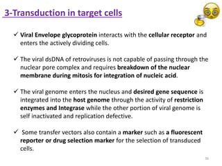 36
3-Transduction in target cells
 Viral Envelope glycoprotein interacts with the cellular receptor and
enters the actively dividing cells.
 The viral dsDNA of retroviruses is not capable of passing through the
nuclear pore complex and requires breakdown of the nuclear
membrane during mitosis for integration of nucleic acid.
 The viral genome enters the nucleus and desired gene sequence is
integrated into the host genome through the activity of restriction
enzymes and Integrase while the other portion of viral genome is
self inactivated and replication defective.
 Some transfer vectors also contain a marker such as a fluorescent
reporter or drug selection marker for the selection of transduced
cells.
 