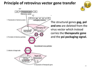 1/7/2017 38
Principle of retrovirus vector gene transfer
.
The structural genes gag, pol
and env are deleted from the
virus vector which instead
carries the therapeutic gene
and the psi packaging signal.
 