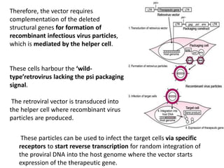 Therefore, the vector requires
complementation of the deleted
structural genes for formation of
recombinant infectious virus particles,
which is mediated by the helper cell.
These cells harbour the ‘wild-
type’retrovirus lacking the psi packaging
signal.
The retroviral vector is transduced into
the helper cell where recombinant virus
particles are produced.
These particles can be used to infect the target cells via specific
receptors to start reverse transcription for random integration of
the proviral DNA into the host genome where the vector starts
expression of the therapeutic gene.
 