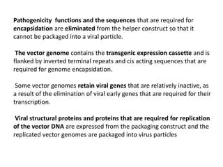 Pathogenicity functions and the sequences that are required for
encapsidation are eliminated from the helper construct so that it
cannot be packaged into a viral particle.
The vector genome contains the transgenic expression cassette and is
flanked by inverted terminal repeats and cis acting sequences that are
required for genome encapsidation.
Some vector genomes retain viral genes that are relatively inactive, as
a result of the elimination of viral early genes that are required for their
transcription.
Viral structural proteins and proteins that are required for replication
of the vector DNA are expressed from the packaging construct and the
replicated vector genomes are packaged into virus particles
 