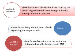 9
Antibiotic
resistance
Epitope
allow for survival of cells that have taken up the
vector in growth media containing antibiotics
through antibiotic selection.
allows for antibody identification of cells
expressing the target protein.
Genetic
markers
allow for confirmation that the vector has
integrated with the host genomic DNA.
 