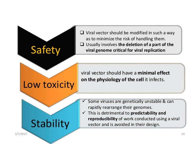 Viral vectors in virology