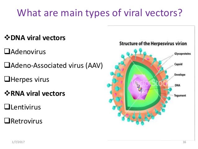 Viral vectors in virology