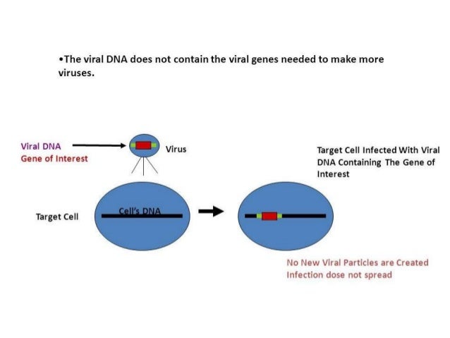 Viral vectors in virology