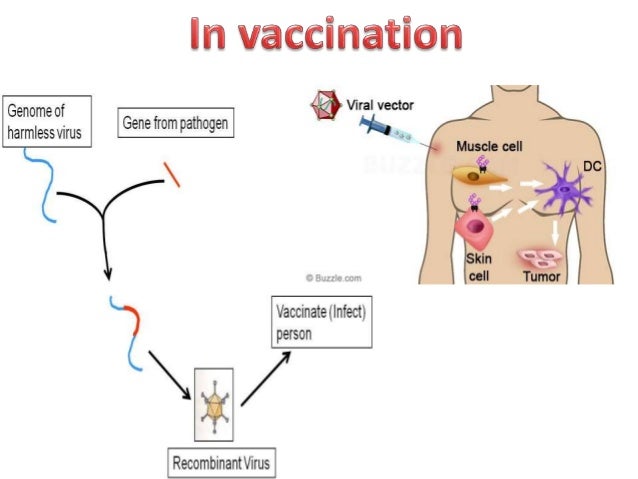 Viral vectors in virology