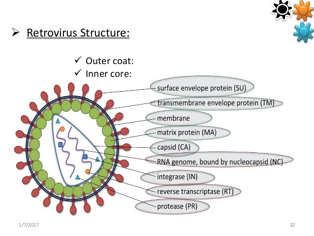 Viral vectors in virology