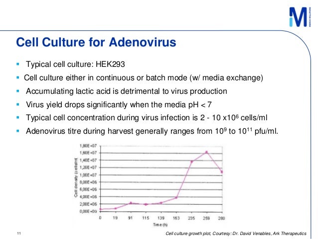 Viral-vectored vaccines: a new approach in the vaccine manufacturing