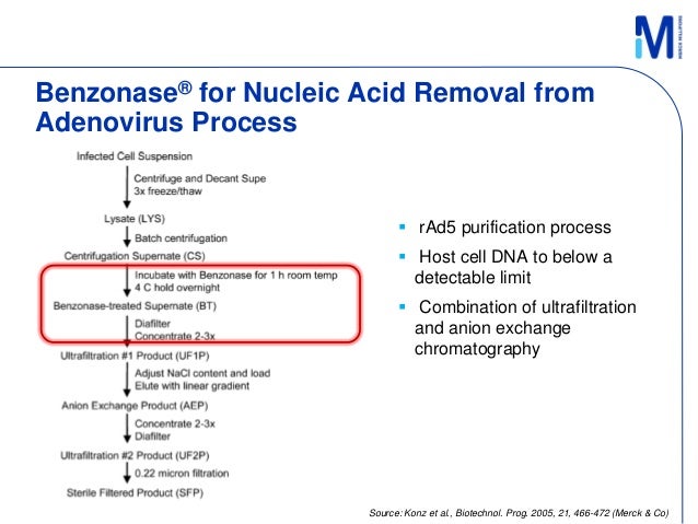Viral-vectored vaccines: a new approach in the vaccine manufacturing