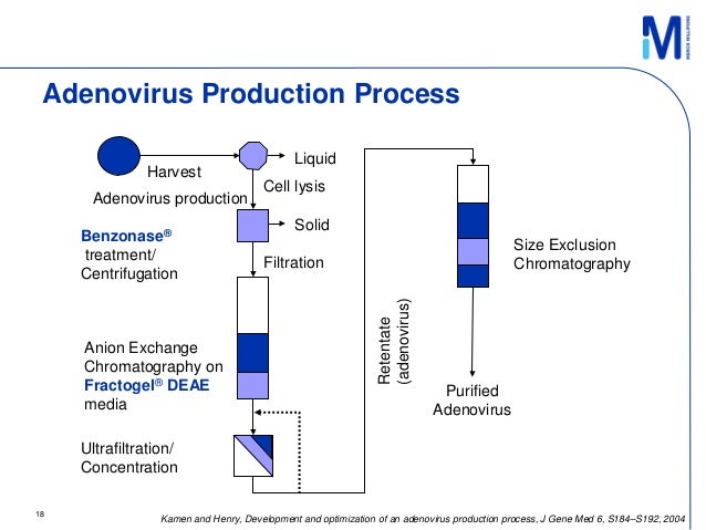 Viral-vectored vaccines: a new approach in the vaccine manufacturing