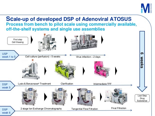 Viral-vectored vaccines: a new approach in the vaccine manufacturing