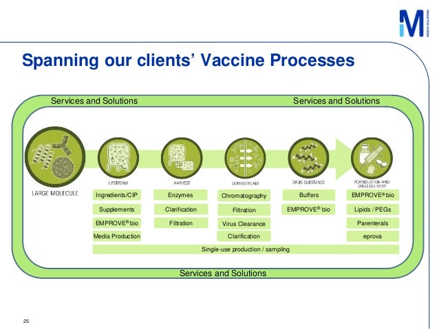 Viral-vectored vaccines: a new approach in the vaccine manufacturing