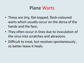 Plane Warts
• These are tiny, flat-topped, flesh-coloured
warts which usually occur on the dorsa of the
hands and the face.
• They often occur in lines due to inoculation of
the virus into scratches and abrasions.
• Difficult to treat, but resolves spontaneously ,
so better leave it heals.
 