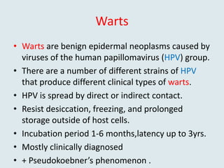 Warts
• Warts are benign epidermal neoplasms caused by
viruses of the human papillomavirus (HPV) group.
• There are a number of different strains of HPV
that produce different clinical types of warts.
• HPV is spread by direct or indirect contact.
• Resist desiccation, freezing, and prolonged
storage outside of host cells.
• Incubation period 1-6 months,latency up to 3yrs.
• Mostly clinically diagnosed
• + Pseudokoebner’s phenomenon .
 