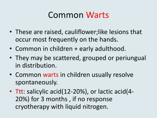 Common Warts
• These are raised, cauliflower;like lesions that
occur most frequently on the hands.
• Common in children + early adulthood.
• They may be scattered, grouped or periungual
in distribution.
• Common warts in children usually resolve
spontaneously.
• Ttt: salicylic acid(12-20%), or lactic acid(4-
20%) for 3 months , if no response
cryotherapy with liquid nitrogen.
 