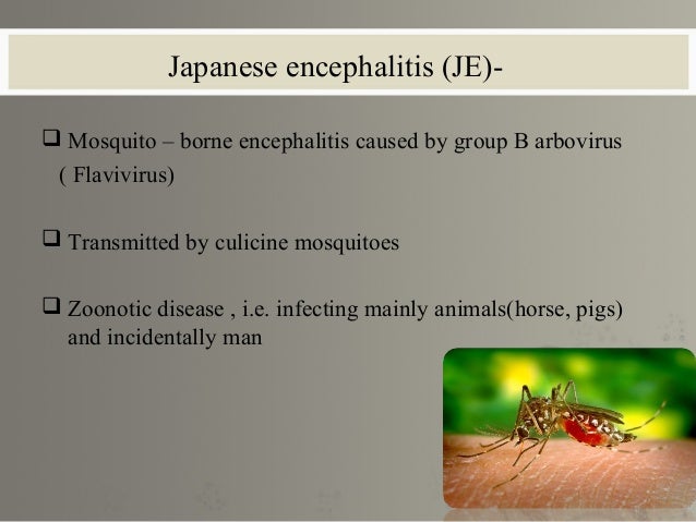 Viral zoonoses