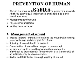 PREVENTION OF HUMAN
RABIES• The post-exposure treatment is a three pronged approach.
All three carry equal importance and should be done
simultaneously.
 Management of wound
 Passive immunization
 Active immunization
A. Management of wound
o Wound toileting- immediately flushing the wound with running
water with soap and detergent for 10 min.
o Suturing of wound should be avoided
o Cauterization of wound is no longer recommended
o Inj. tetanus toxoid should be given to the unimmunized
individual. To prevent sepsis in the wound, a suitable course of
an antibiotic may be recommended.
o Savlon and Dettol after thorough washing of wound
 