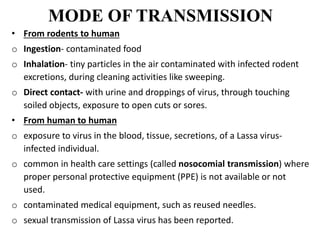 MODE OF TRANSMISSION
• From rodents to human
o Ingestion- contaminated food
o Inhalation- tiny particles in the air contaminated with infected rodent
excretions, during cleaning activities like sweeping.
o Direct contact- with urine and droppings of virus, through touching
soiled objects, exposure to open cuts or sores.
• From human to human
o exposure to virus in the blood, tissue, secretions, of a Lassa virus-
infected individual.
o common in health care settings (called nosocomial transmission) where
proper personal protective equipment (PPE) is not available or not
used.
o contaminated medical equipment, such as reused needles.
o sexual transmission of Lassa virus has been reported.
 