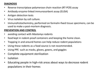 DIAGNOSIS
• Reverse transcriptase polymerase chain reaction (RT-PCR) assay
• Antibody enzyme-linked immunosorbent assay (ELISA)
• Antigen detection tests
• Virus isolation by cell culture.
• Immunohistochemistry, performed on formalin-fixed tissue specimens, can be
used to make a post-mortem diagnosis.
PREVENTION AND CONTROL
• avoiding contact with Mastomys rodents
• food kept in rodent-proof containers and keeping the home clean.
• Trapping in and around homes can help reduce rodent populations
• Using these rodents as a food source is not recommended.
• Using PPE such as masks, gloves, gowns, and goggles
• Complete equipment sterilization
• Isolation
• Educating people in high-risk areas about ways to decrease rodent
populations in their homes
 