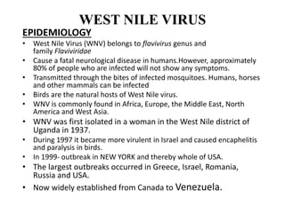 WEST NILE VIRUS
EPIDEMIOLOGY
• West Nile Virus (WNV) belongs to flavivirus genus and
family Flaviviridae
• Cause a fatal neurological disease in humans.However, approximately
80% of people who are infected will not show any symptoms.
• Transmitted through the bites of infected mosquitoes. Humans, horses
and other mammals can be infected
• Birds are the natural hosts of West Nile virus.
• WNV is commonly found in Africa, Europe, the Middle East, North
America and West Asia.
• WNV was first isolated in a woman in the West Nile district of
Uganda in 1937.
• During 1997 it became more virulent in Israel and caused encaphelitis
and paralysis in birds.
• In 1999- outbreak in NEW YORK and thereby whole of USA.
• The largest outbreaks occurred in Greece, Israel, Romania,
Russia and USA.
• Now widely established from Canada to Venezuela.
 