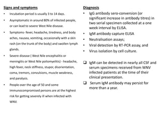 Signs and symptoms
• Incubation period is usually 3 to 14 days.
• Asymptomatic in around 80% of infected people,
or can lead to severe West Nile disease.
• Symptoms- fever, headache, tiredness, and body
aches, nausea, vomiting, occasionally with a skin
rash (on the trunk of the body) and swollen lymph
glands.
• Severe disease ( West Nile encephalitis or
meningitis or West Nile poliomyelitis) - headache,
high fever, neck stiffness, stupor, disorientation,
coma, tremors, convulsions, muscle weakness,
and paralysis.
• People over the age of 50 and some
immunocompromised persons are at the highest
risk for getting severely ill when infected with
WNV.
Diagnosis
• IgG antibody sero-conversion (or
significant increase in antibody titres) in
two serial specimen collected at a one
week interval by ELISA.
• IgM antibody capture ELISA
• Neutralisation assays;
• Viral detection by RT-PCR assay, and
• Virus isolation by cell culture.
 IgM can be detected in nearly all CSF and
serum specimens received from WNV
infected patients at the time of their
clinical presentation.
 Serum IgM antibody may persist for
more than a year.
 
