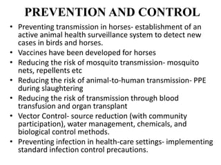 PREVENTION AND CONTROL
• Preventing transmission in horses- establishment of an
active animal health surveillance system to detect new
cases in birds and horses.
• Vaccines have been developed for horses
• Reducing the risk of mosquito transmission- mosquito
nets, repellents etc
• Reducing the risk of animal-to-human transmission- PPE
during slaughtering
• Reducing the risk of transmission through blood
transfusion and organ transplant
• Vector Control- source reduction (with community
participation), water management, chemicals, and
biological control methods.
• Preventing infection in health-care settings- implementing
standard infection control precautions.
 