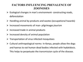 FACTORS INFLUENCING PREVALENCE OF
ZOONOSES
 Ecological changes in man's environment- constructing roads,
deforestation
 Handling animal by-products and wastes (occupational hazards)
 Increased movements of man- pilgrimages,tourism
 Increased trade in animal products
 Increased density of animal population
 Transportation of virus infected mosquitoes
 Cultural anthropological norms- In Kenya, people allow the dogs
and hyenas to eat human dead bodies infected with hydatidosis.
This helps to perpetuate the transmission cycle of the disease.
 