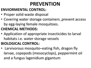 PREVENTION
ENVIORMENTAL CONTROL:
• Proper solid waste disposal
• Covering water storage containers ,prevent access
by egg-laying female mosquitoes.
CHEMICAL METHODS:
• Application of appropriate insecticides to larval
habitats i.e. water storage vessels
BIOLOGICAL CONTROL:
• Larvivorous mosquito–eating fish, dragon fly
larvae, copepods (mesocyclops), peppermint oil
and a fungus lagenidium gigantum
 