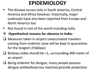 EPIDEMIOLOGY
 The disease occurs only in South America, Central
America and Africa however, historically, major
outbreaks have also been reported from Europe and
North America too.
 Not found in rest of the world including India
 Hypothetical reasons for absence in India:
 Measures taken in airport:unvaccinated travelers
coming from endemic zone will be kept in quarantine
for the longest I.P.(6days)
 Breteau index should be <1, surrounding 400 meter of
an airport
 Being endemic for dengue, many people possess
dengue antibodies(cross reactive);provide protection
 