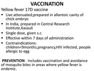 VACCINATION
Yellow fever 17D vaccine:
 Live attenuated;prepared in allantoic cavity of
chick embryo
 In India, prepared in Central Research
Institute,Kasauli
 Single dose, given s.c.
 Effective within 7 days of administration
 Contraindications:
children<9months,pregnancy,HIV infected, people
allergic to egg
PREVENTION : Includes vaccination and avoidance
of mosquito bites in areas where yellow fever is
endemic.
 