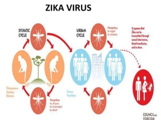 ZIKA VIRUS
 