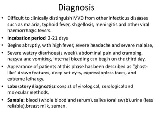 Diagnosis
• Difficult to clinically distinguish MVD from other infectious diseases
such as malaria, typhoid fever, shigellosis, meningitis and other viral
haemorrhagic fevers.
• Incubation period: 2-21 days
• Begins abruptly, with high fever, severe headache and severe malaise,
• Severe watery diarrhoea(a week), abdominal pain and cramping,
nausea and vomiting, internal bleeding can begin on the third day.
• Appearance of patients at this phase has been described as “ghost-
like” drawn features, deep-set eyes, expressionless faces, and
extreme lethargy.
• Laboratory diagnostics consist of virological, serological and
molecular methods.
• Sample: blood (whole blood and serum), saliva (oral swab),urine (less
reliable),breast milk, semen.
 