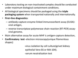 • Laboratory testing on non-inactivated samples should be conducted
under maximum biological containment conditions.
• All biological specimens should be packaged using the triple
packaging system when transported nationally and internationally.
• First–line diagnostics:
– antibody-capture enzyme-linked immunosorbent assay (ELISA)-
viral antigen,
– reverse transcriptase polymerase chain reaction (RT-PCR) assay-
viral genome,
• Main alternative assay for acute MHF is antigen-capture detection,
• Confirmatory test -electron microscopy(unique filamentous
shapes)
-virus isolation by cell culture(grivet kidney
epithelial Vero E6 or MA-104).
-serum neutralization test
 