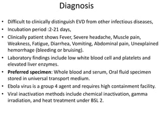 Diagnosis
• Difficult to clinically distinguish EVD from other infectious diseases,
• Incubation period :2-21 days,
• Clinically patient shows Fever, Severe headache, Muscle pain,
Weakness, Fatigue, Diarrhea, Vomiting, Abdominal pain, Unexplained
hemorrhage (bleeding or bruising).
• Laboratory findings include low white blood cell and platelets and
elevated liver enzymes.
• Preferred specimen: Whole blood and serum, Oral fluid specimen
stored in universal transport medium.
• Ebola virus is a group 4 agent and requires high containment facility.
• Viral inactivation methods include chemical inactivation, gamma
irradiation, and heat treatment under BSL 2.
 