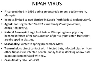 NIPAH VIRUS
• First recognized in 1999 during an outbreak among pig farmers in,
Malaysia
• In India, limited to two districts in Kerala (Kozhikode & Malappuram).
• Agent: non-segmented SS-RNA virus family Paramyxoviridae,
genus Henipavirus.
• Natural Reservoir: Large fruit bats of Pteropus genus, pigs may
become infected after consumption of partially bat eaten fruits that
are dropped in pigsties.
• Seasonality: winter to spring (December-May).
• Transmission: direct contact with infected bats, infected pigs, or from
other Nipah virus infected people(bodily fluids), drinking of raw date
palm sap contaminated with NiV.
• Case–fatality rate : 40–75%
 