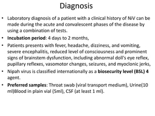 Diagnosis
• Laboratory diagnosis of a patient with a clinical history of NiV can be
made during the acute and convalescent phases of the disease by
using a combination of tests.
• Incubation period: 4 days to 2 months,
• Patients presents with fever, headache, dizziness, and vomiting,
severe encephalitis, reduced level of consciousness and prominent
signs of brainstem dysfunction, including abnormal doll's eye reflex,
pupillary reflexes, vasomotor changes, seizures, and myoclonic jerks,
• Nipah virus is classified internationally as a biosecurity level (BSL) 4
agent.
• Preferred samples: Throat swab (viral transport medium), Urine(10
ml)Blood in plain vial (5ml), CSF (at least 1 ml).
 