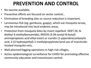 PREVENTION AND CONTROL
• No vaccine available,
• Preventive efforts are focused on vector control ,
• Elimination of breeding sites or source reduction is important,
• Larvivorous fish (eg: gambusia, guppy), which eat mosquito larvae,
may be introduced into local endemic areas,
• Protection from mosquito bites by insect repellent DEET (N, N-
diethyl-3-methylbenzamide), IR3535 (3-[N-acetyl-N-butyl]-
aminopropionic acid ethyl ester) or icaridin (1-piperidinecarboxylic
acid, 2-(2-hydroxyethyl)-1-methylpropylester)and use of insecticide-
treated mosquito nets,
• Well-planned fogging operations in high-risk villages,
• Active epidemiological surveillance for CHIKV for promoting effective
community education and transmission control.
 