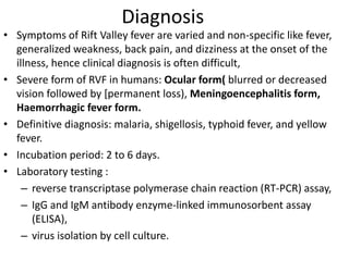 Diagnosis
• Symptoms of Rift Valley fever are varied and non-specific like fever,
generalized weakness, back pain, and dizziness at the onset of the
illness, hence clinical diagnosis is often difficult,
• Severe form of RVF in humans: Ocular form( blurred or decreased
vision followed by [permanent loss), Meningoencephalitis form,
Haemorrhagic fever form.
• Definitive diagnosis: malaria, shigellosis, typhoid fever, and yellow
fever.
• Incubation period: 2 to 6 days.
• Laboratory testing :
– reverse transcriptase polymerase chain reaction (RT-PCR) assay,
– IgG and IgM antibody enzyme-linked immunosorbent assay
(ELISA),
– virus isolation by cell culture.
 